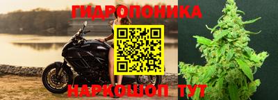 альфа пвп Кингисепп