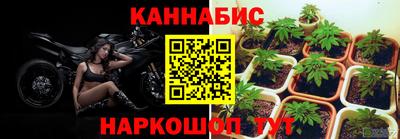 спиды Кимры